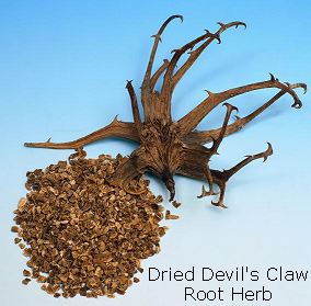 Devil's Claw