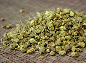Goldenseal