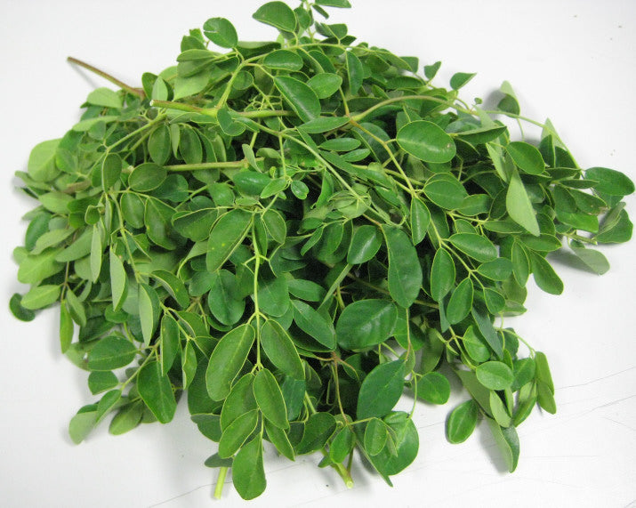 Moringa