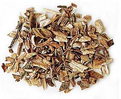 Sarsaparilla
