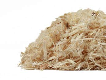Slippery Elm Bark